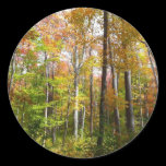 Fall Forest Sticker