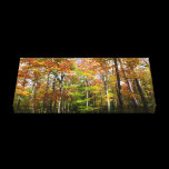 Fall Forest Wrapped Canvas