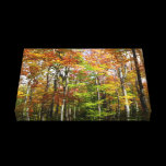 Fall Forest Wrapped Canvas