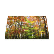 Fall Forest Wrapped Canvas wrappedcanvas