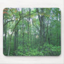 Fall Forestry mousepads by CorpseRomance Fall Forestry mousepads