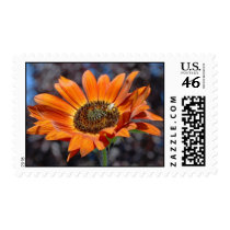 Fall 'Funflower' Postage