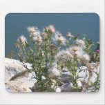 Fall Fuzz mousepads