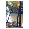 Fall Geese posters by laohare Fall Geese posters