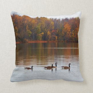 Fall Geese Reflections Throw Pillow