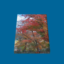 Fall Glory canvas prints