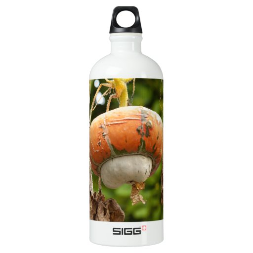 Fall Gourd Water Bottle Zazzle