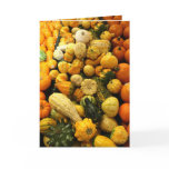 Fall Gourds Greeting Cards