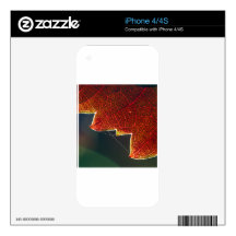 Fall Grape Leaf and Web Skins For The iPhone 4