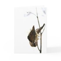 Fall Greetings cards by mniebuhr Fall Greetings cards