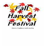 Fall Harvest Festival Ladies T-shirt