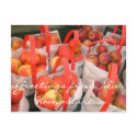Fall Harvest postcards by wg90210 Fall Harvest postcards