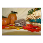 Fall hh Fall hh