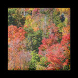 Fall Hillside Magnet