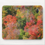 Fall Hillside Mousepad