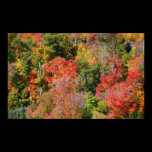 Fall Hillside Photography Print