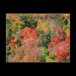 Fall Hillside Postcard