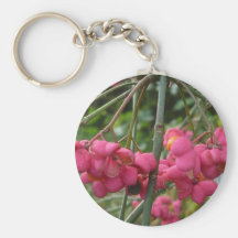 Fall Impressions 2010 (pink blossom) Key Chain