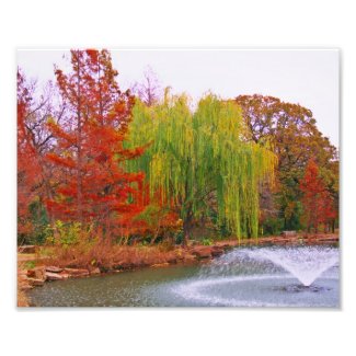 fall in a park Photo