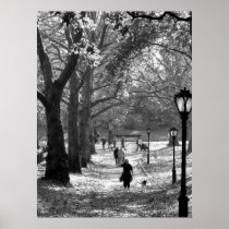 Fall in Central Park 06  25 Posters