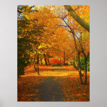 Fall  in Central Park 06  27 Poster