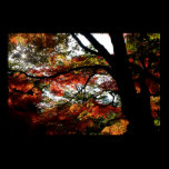Fall in Japan posters