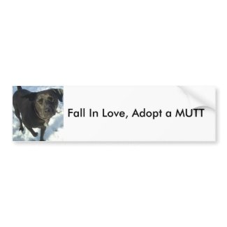 Fall In Love, Adopt a MUTT bumpersticker