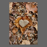 Fall in Love posters
