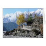 Fall in Nepal picture cards