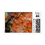 Fall in New England Postage Stamps