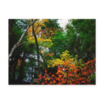 Fall in New England-postcard