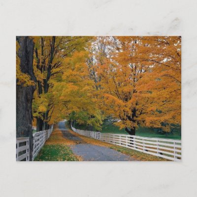 Fall in New Hampshire Postcard