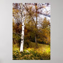 Fall in Rancho San Rafael, Reno NV Poster
