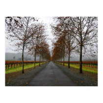 Fall in Saint Helena posters by gosryda55 Fall in Saint Helena posters