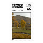 Fall in Sun Valley