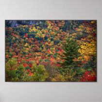 Fall in the Adirondacks Print