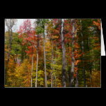 Fall in the Forest Card