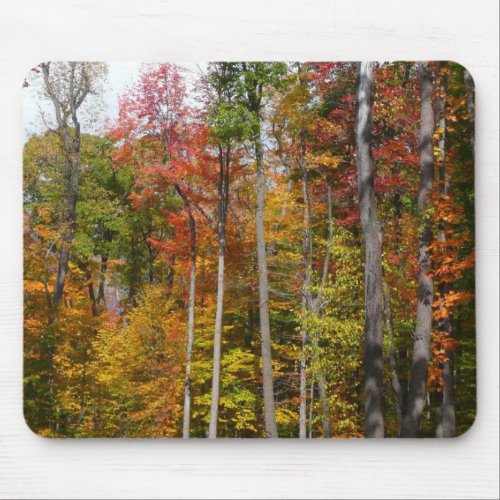 Fall in the Forest Mousepad mousepad
