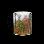 Fall in the Forest Mug