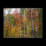 Fall in the Forest Postcard