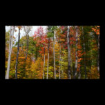 Fall in the Forest Print