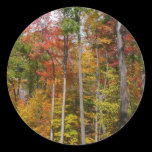 Fall in the Forest Sticker