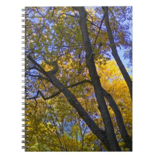 Fall in the Mountains 10 Spiral Notebooks