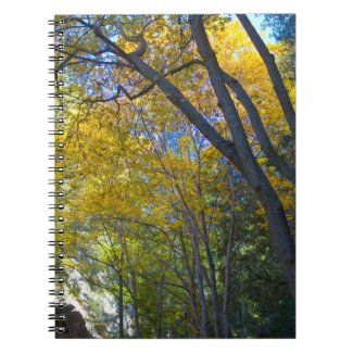 Fall in the Mountains 1 Note Book