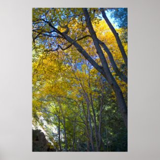 Fall in the Mountains 1 Print