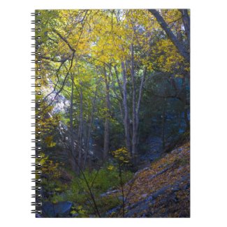 Fall in the Mountains 2 Journals
