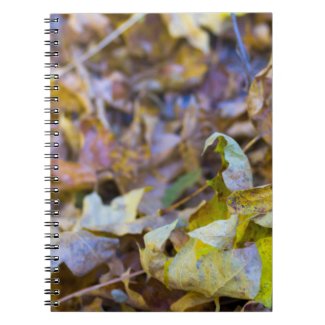 Fall in the Mountains 5 Spiral Notebooks