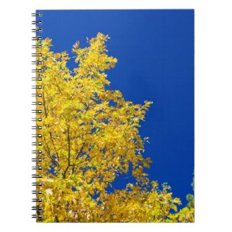 Fall in the Mountains 7 Note Book