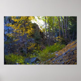 Fall in the Mountains 7 Posters