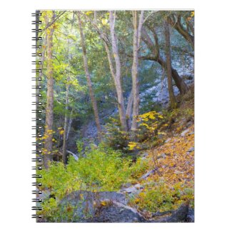 Fall in the Mountains 8 Notebooks